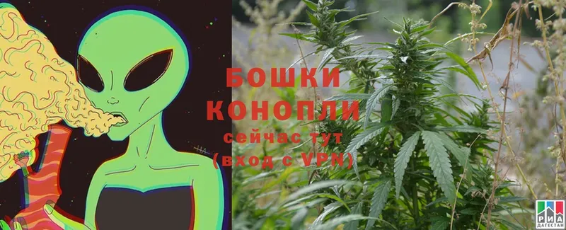 Бошки Шишки SATIVA & INDICA  ссылка на мегу вход  Краснозаводск 